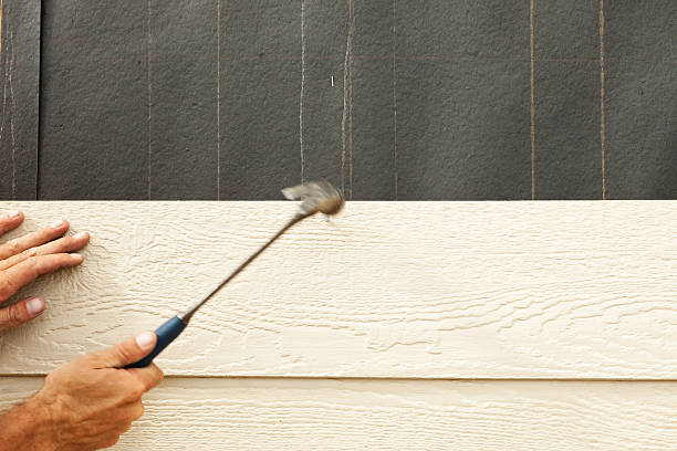 Best Fiber Cement Siding Installation  in Katy, TX